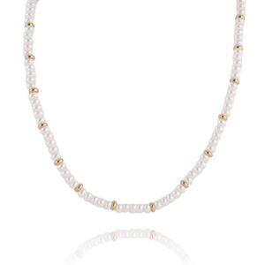 69622f67f116fe47c377cbfa4a8b1afb